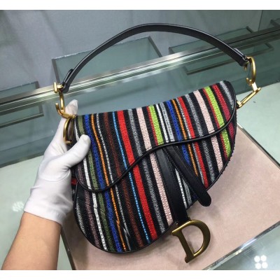 Dior Saddle Canvas Bag Embroidered With Multi-coloured Stripes