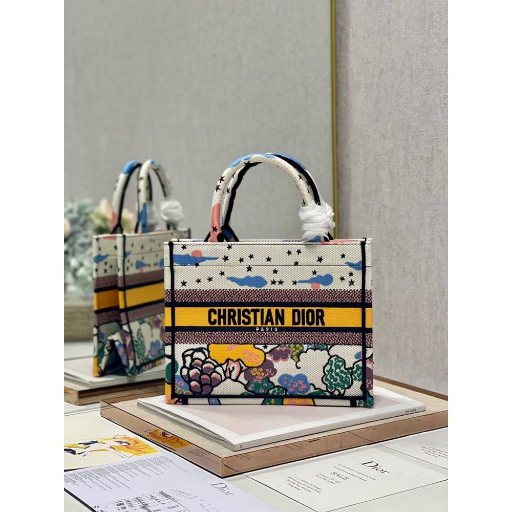 Dior Small Book Tote Bag In Ciel de Reve Embroidery