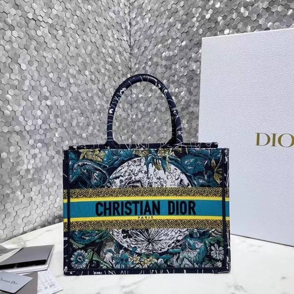 Dior Small Book Tote In Blue Dior Constellation Embroidery